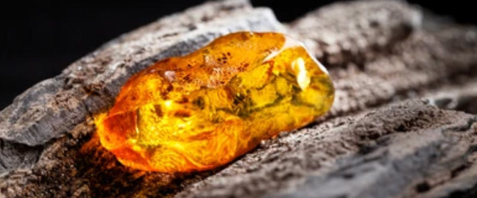 slider image slider_item_LTgqqV